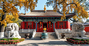 懷柔拓展(zhan)-真人(ren)CS-漂流2日(ri)遊