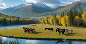 【念念喀納斯-三湖(hú)盡享】北疆精(jīng)華